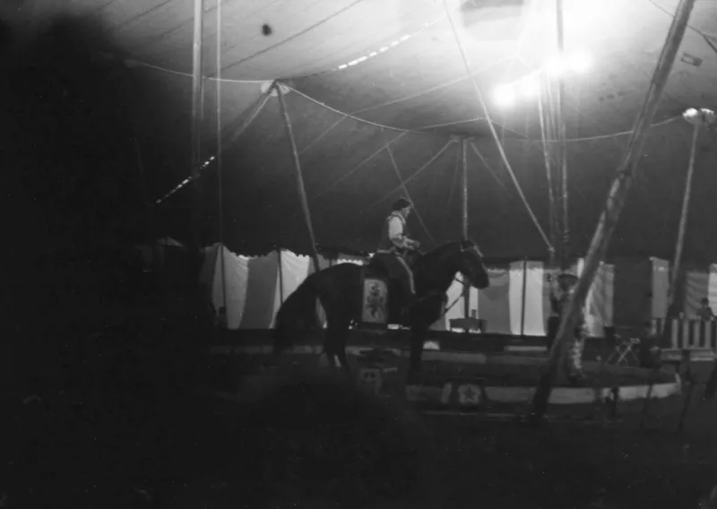 Before the Big Top Arrived: The Lost Art of the American Circus Lithograph